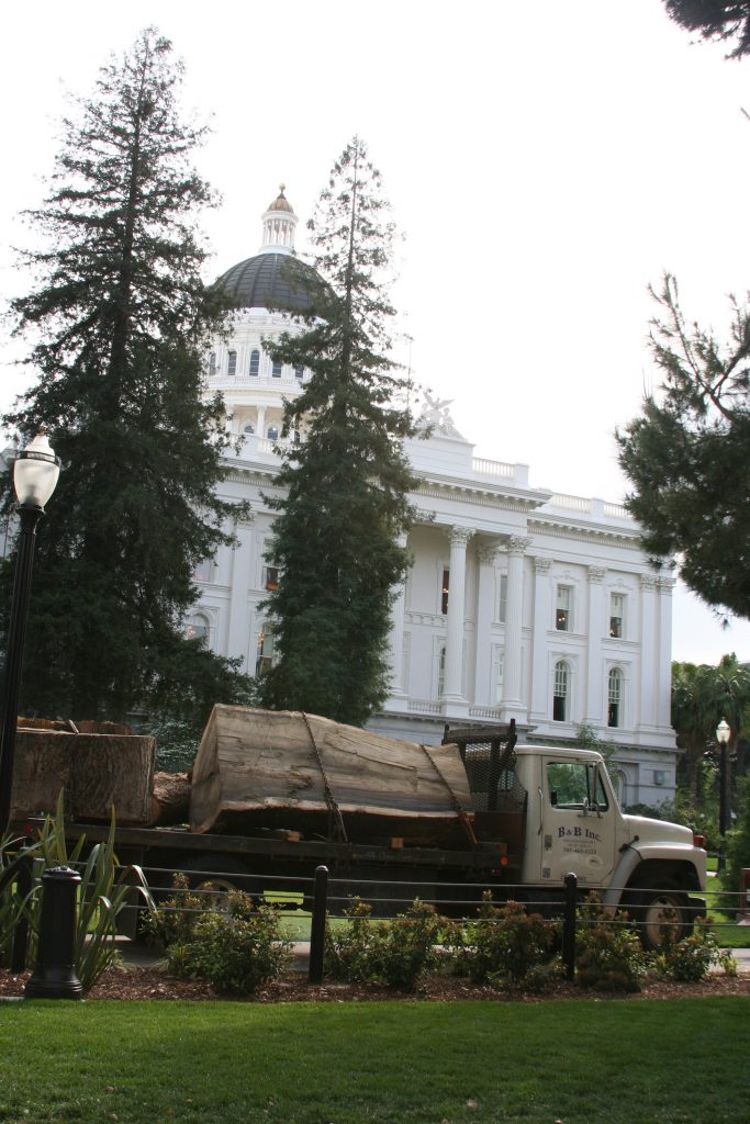 truck and capitol